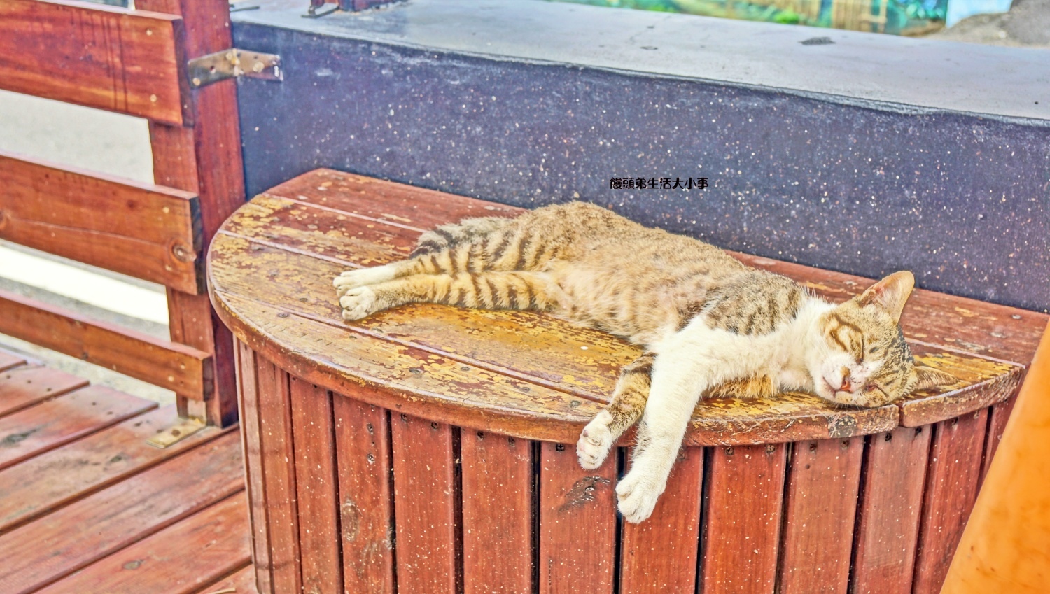 /tmp/phpWebRvs /tmp/phpWebRvs