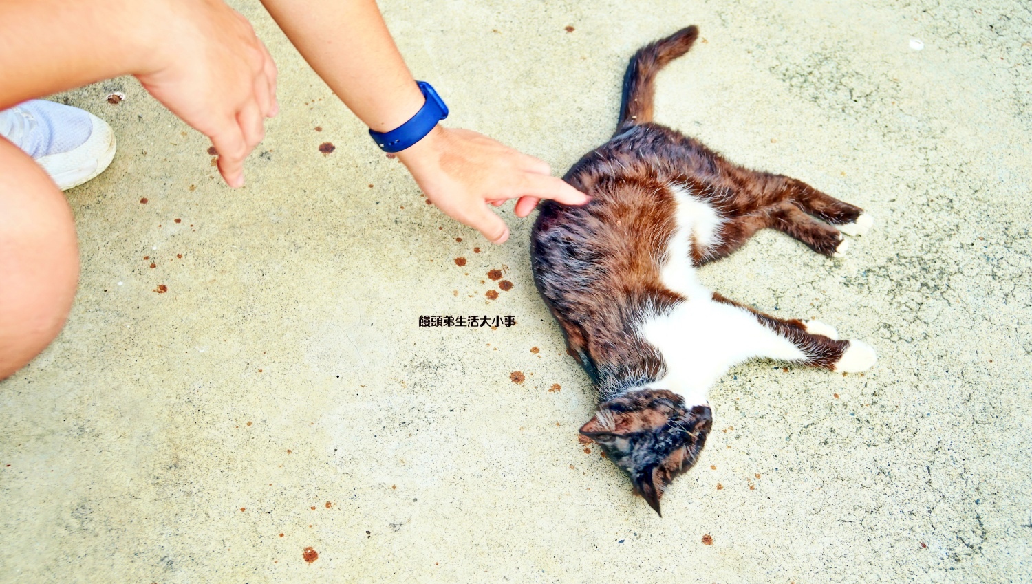 /tmp/phprpsCE3 /tmp/phprpsCE3