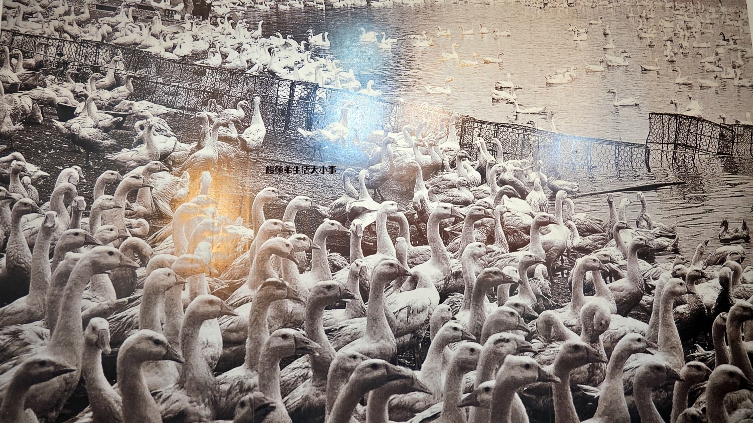 /tmp/phpHBFd1C /tmp/phpHBFd1C