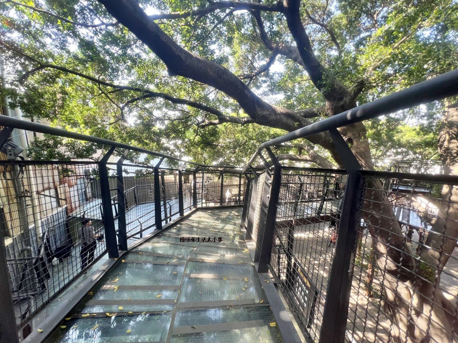 /tmp/phpXOdC2z /tmp/phpXOdC2z