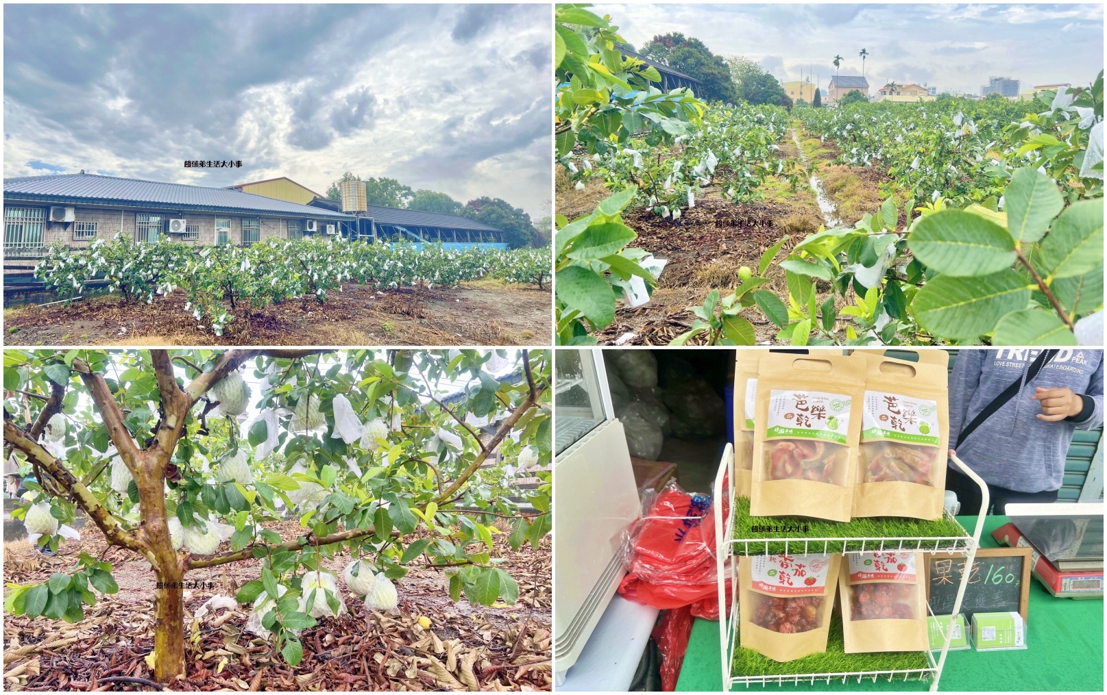 /tmp/phpFRYc7k /tmp/phpFRYc7k