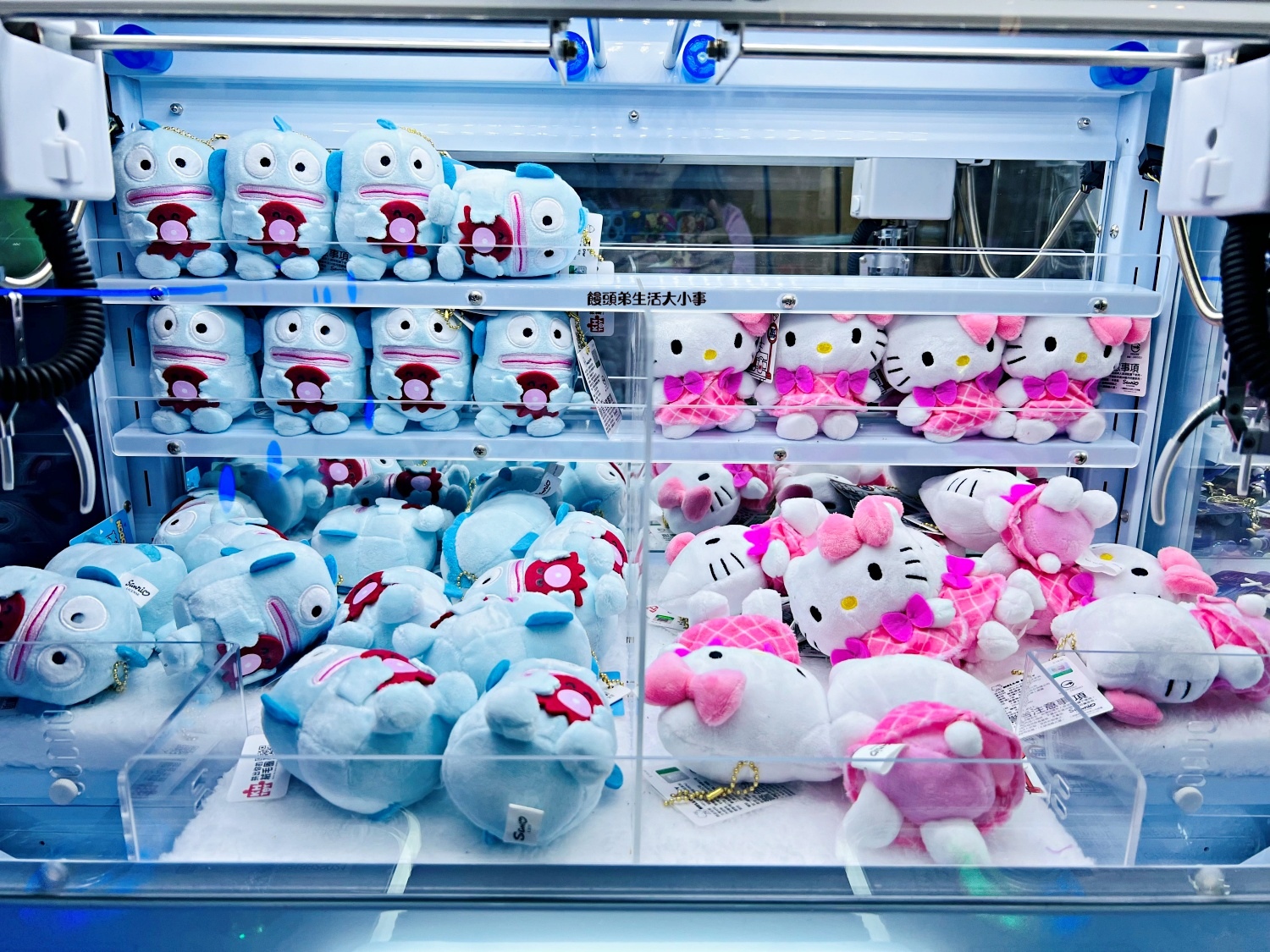 /tmp/phpnfm3NJ /tmp/phpnfm3NJ