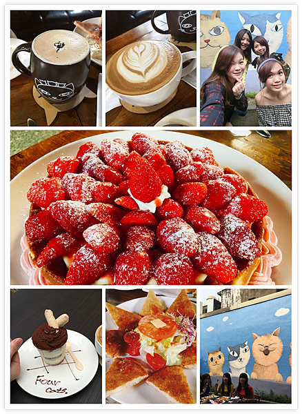 四隻貓-1.png 四隻貓-1.png