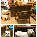 躲貓貓美容店-6.jpg