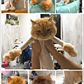 躲貓貓美容店-14.jpg