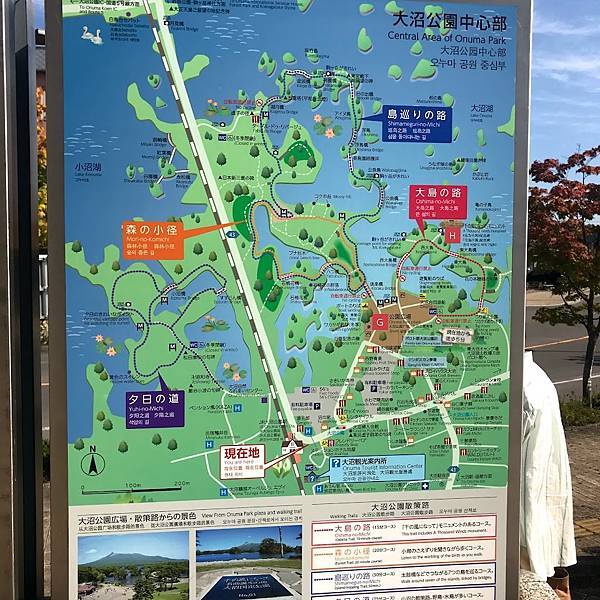 [北海道函館] 大沼公園遊湖散步半日遊