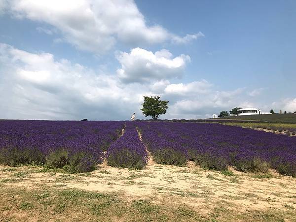 [北海道上富良野] 日之出公園(日の出公園)