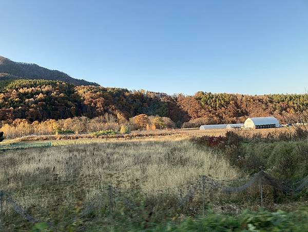 [北海道富良野市] 富良野起司工房及再訪精靈露臺