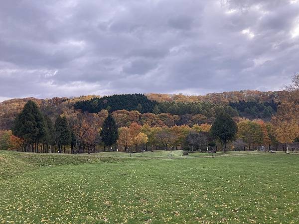 [北海道富良野市] 秋日灑上金粉的朝日之丘公園(朝日ケ丘総合