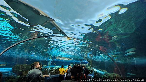 IMG_20190928_164234.jpg IMG_20190928_164234.jpg