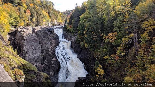 IMG_20191003_100518.jpg IMG_20191003_100518.jpg