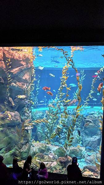 IMG_20190928_162504.jpg IMG_20190928_162504.jpg