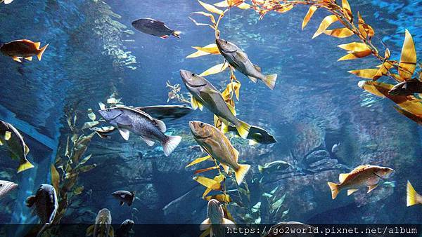 IMG_20190928_162631.jpg IMG_20190928_162631.jpg