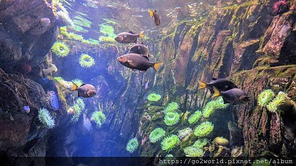 IMG_20190928_162918.jpg IMG_20190928_162918.jpg