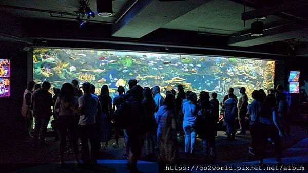 IMG_20190928_163028.jpg IMG_20190928_163028.jpg