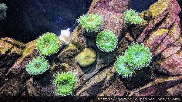 IMG_20190928_162931.jpg IMG_20190928_162931.jpg