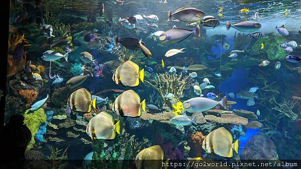 IMG_20190928_163113.jpg IMG_20190928_163113.jpg