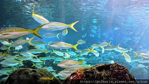 IMG_20190928_163543.jpg IMG_20190928_163543.jpg