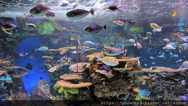 IMG_20190928_163255.jpg IMG_20190928_163255.jpg