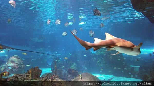 IMG_20190928_163948.jpg IMG_20190928_163948.jpg