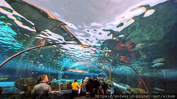 IMG_20190928_164234.jpg IMG_20190928_164234.jpg