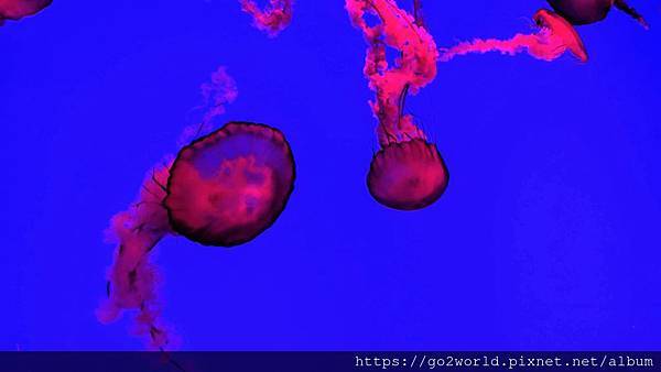 IMG_20190928_165744.jpg IMG_20190928_165744.jpg