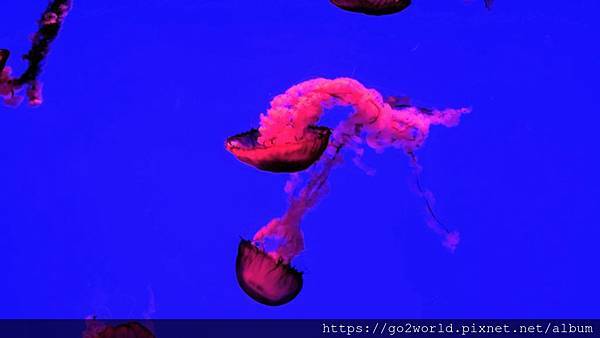 IMG_20190928_165848.jpg IMG_20190928_165848.jpg