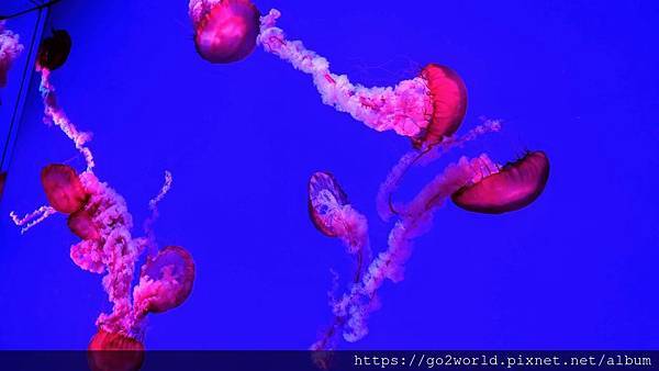 IMG_20190928_165916.jpg IMG_20190928_165916.jpg