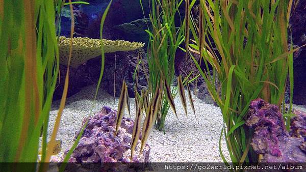 IMG_20190928_165203.jpg IMG_20190928_165203.jpg