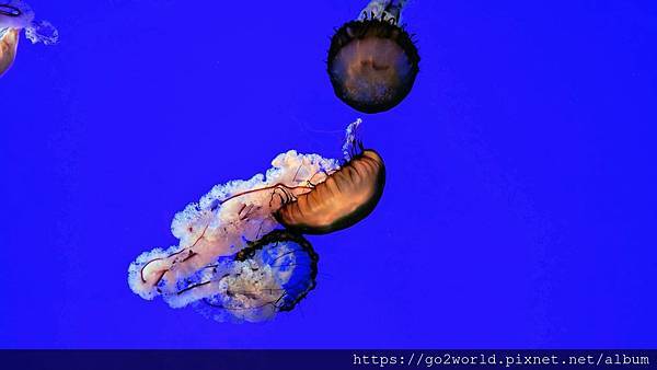 IMG_20190928_165853.jpg IMG_20190928_165853.jpg