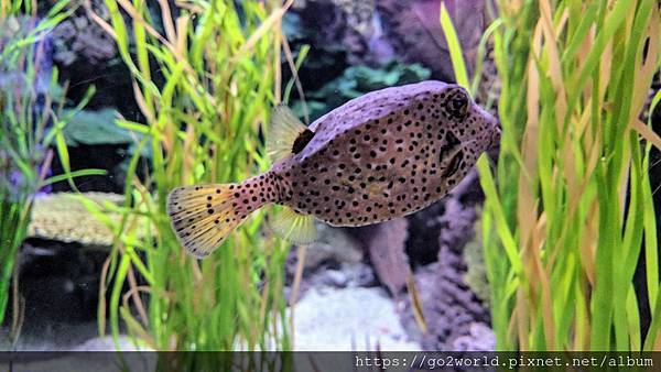 IMG_20190928_165250.jpg IMG_20190928_165250.jpg