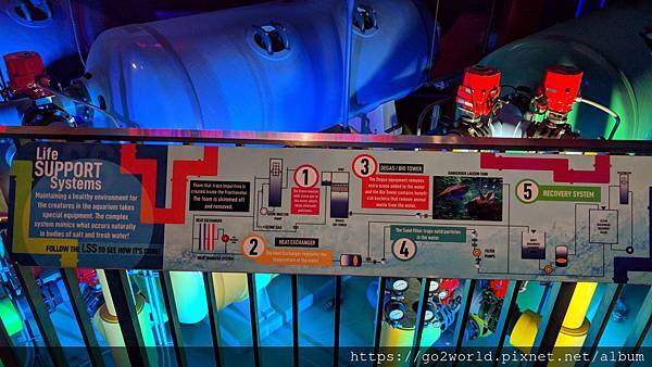 IMG_20190928_170343.jpg IMG_20190928_170343.jpg