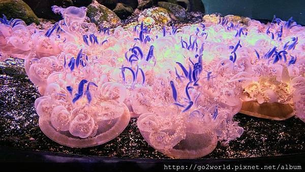 IMG_20190928_170159.jpg IMG_20190928_170159.jpg