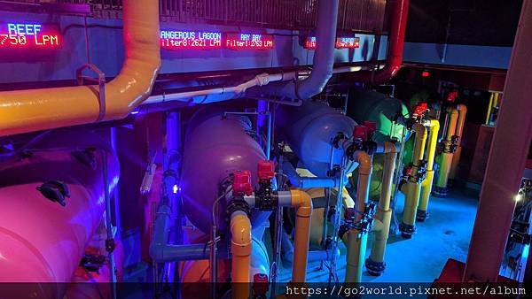 IMG_20190928_170419.jpg IMG_20190928_170419.jpg