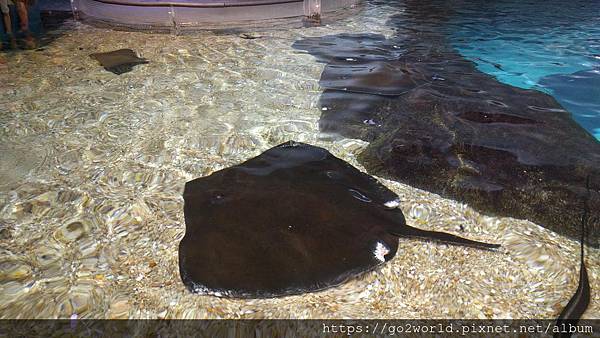 IMG_20190928_170602.jpg IMG_20190928_170602.jpg