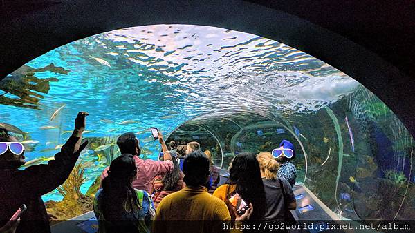 IMG_20190928_163424_2.jpg IMG_20190928_163424_2.jpg