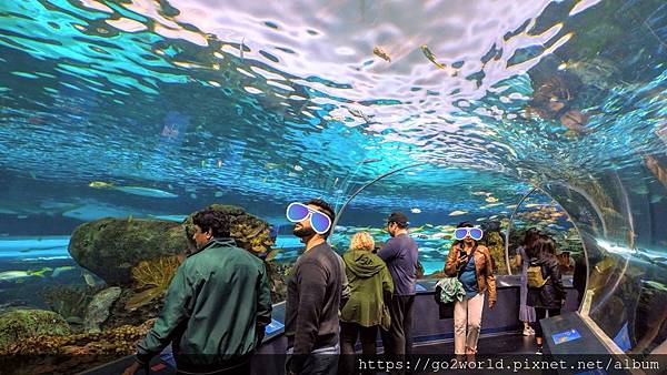 IMG_20190928_164054_2.jpg IMG_20190928_164054_2.jpg