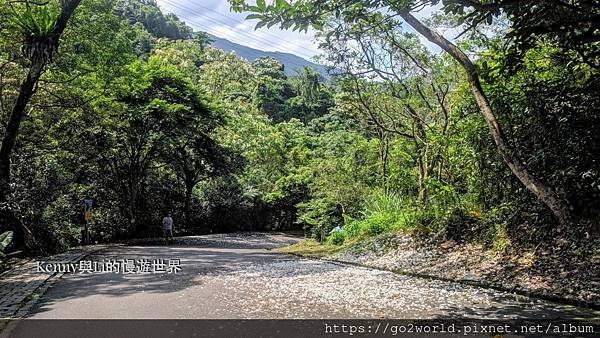 [宜蘭·冬山景點] 仁山植物園-中法英日式庭院一次玩到夠 |