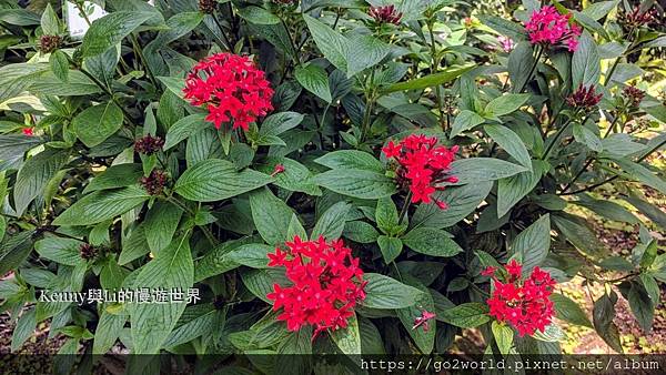 [宜蘭·冬山景點] 仁山植物園-中法英日式庭院一次玩到夠 |