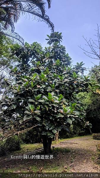 [宜蘭·冬山景點] 仁山植物園-中法英日式庭院一次玩到夠 |