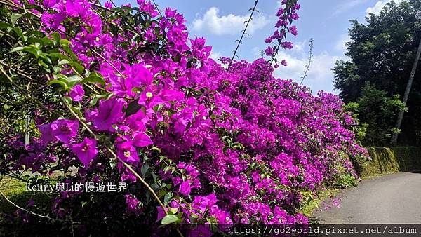 [宜蘭·冬山景點] 仁山植物園-中法英日式庭院一次玩到夠 |