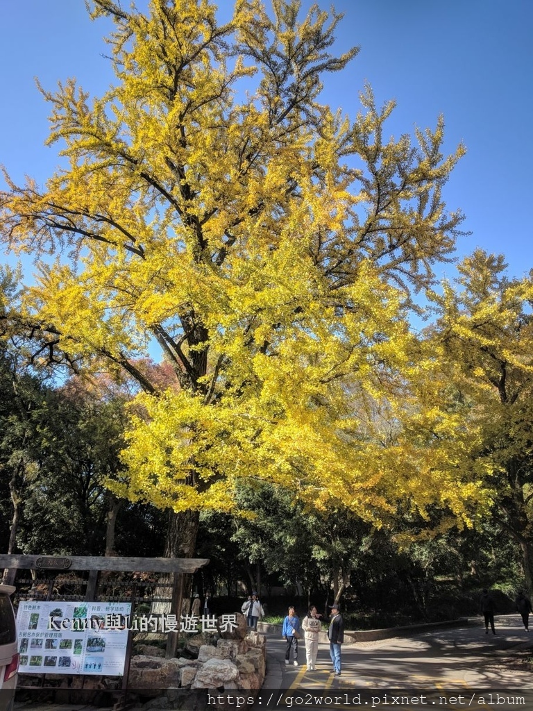 [中國·南京自由行] Day 3 靈谷景區 | 靈谷寺、明代