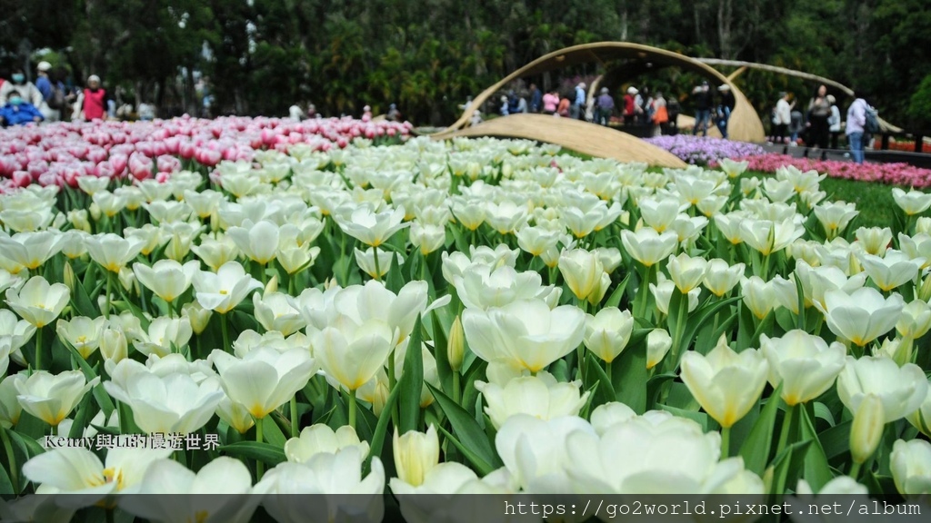 [台北景點] 2024士林官邸鬱金香展-香鬱祈福 14萬