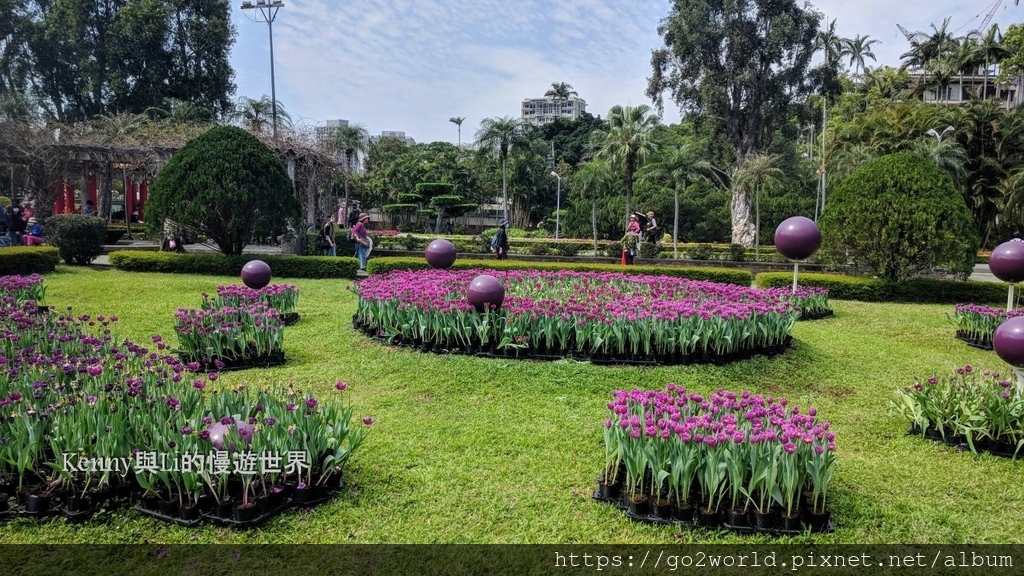 [台北景點] 2024士林官邸鬱金香展-香鬱祈福 14萬