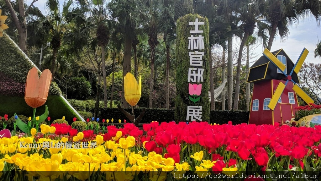 [台北景點] 2024士林官邸鬱金香展-香鬱祈福 14萬