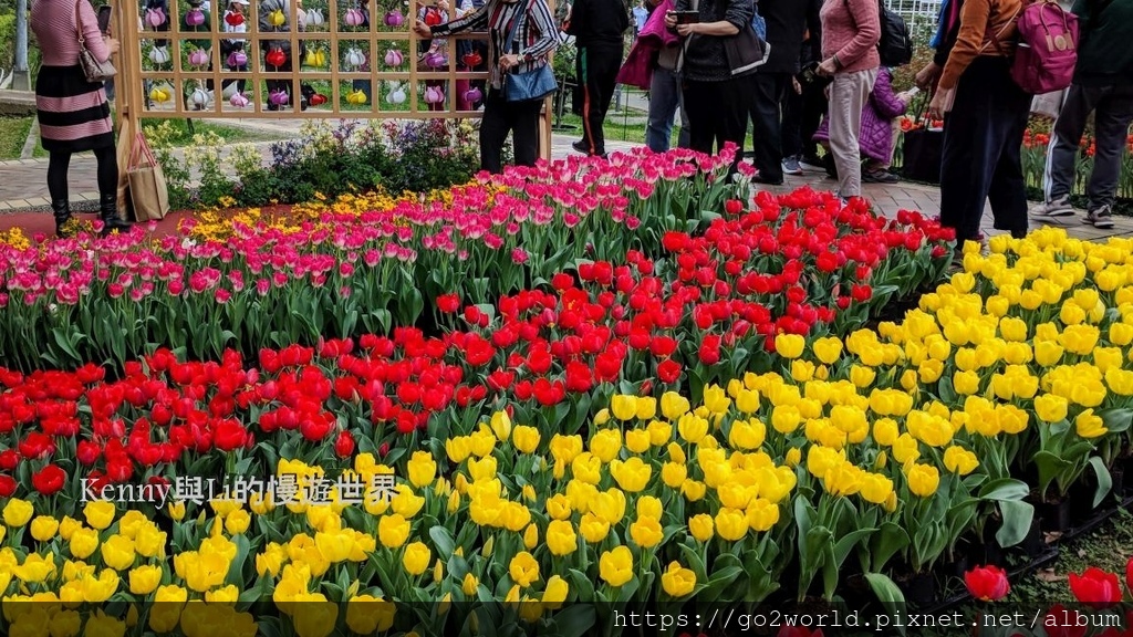 [台北景點] 2024士林官邸鬱金香展-香鬱祈福 14萬