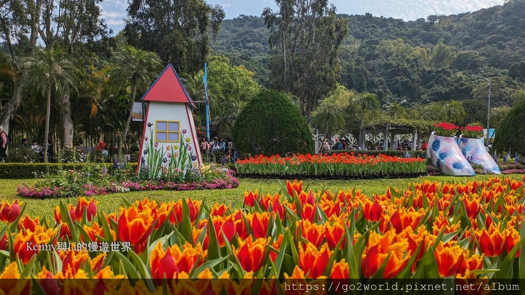 [台北景點] 2024士林官邸鬱金香展-香鬱祈福 14萬