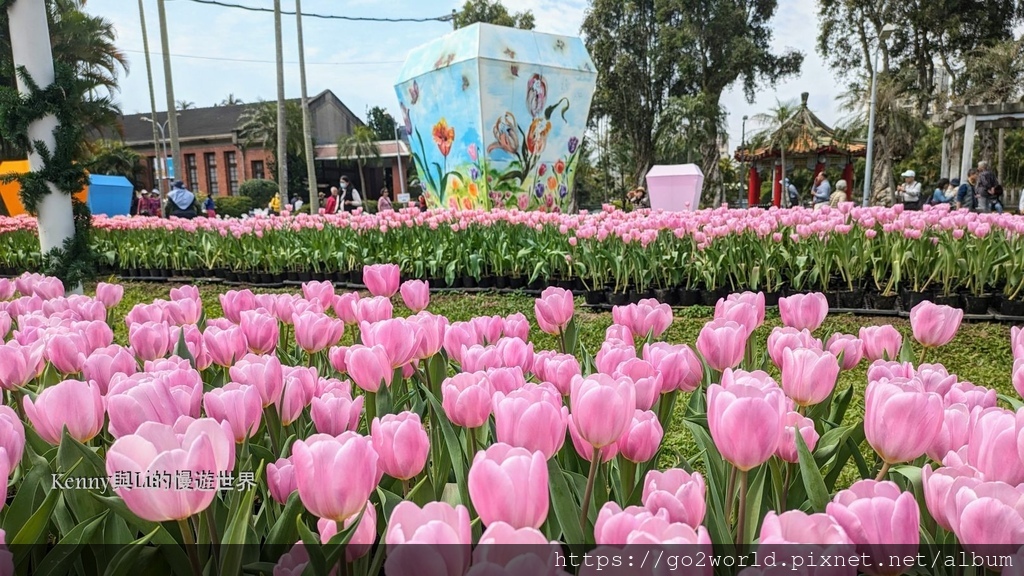 [台北景點] 2024士林官邸鬱金香展-香鬱祈福 14萬