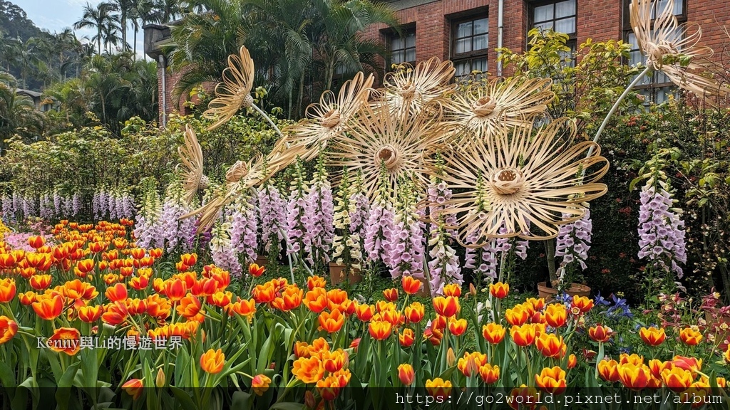 [台北景點] 2024士林官邸鬱金香展-香鬱祈福 14萬