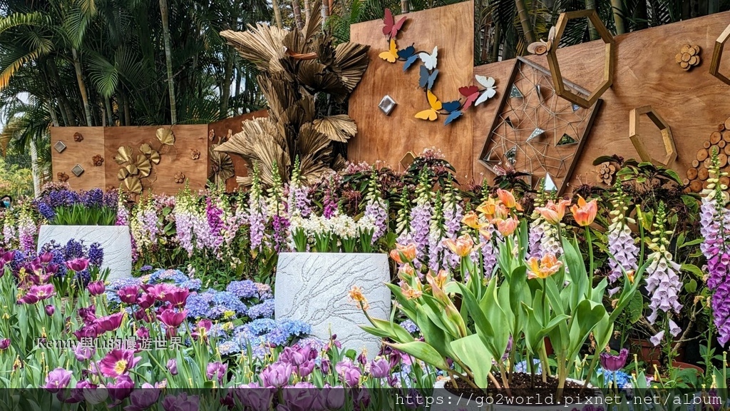[台北景點] 2024士林官邸鬱金香展-香鬱祈福 14萬